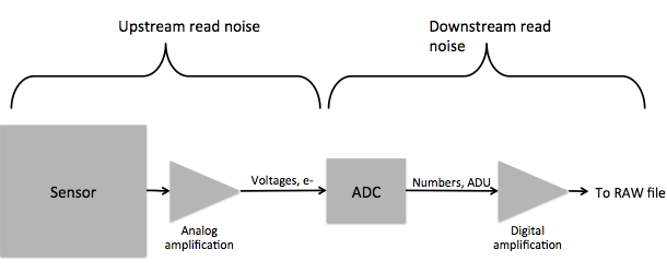 Diagram of the sensor signal chain: sensor, analog amplification, then the ADC turning voltages into numbers (ADU), then digital amplification, to the RAW file. Noise before the ADC is labelled upstream read noise, noise from the ADC onward downstream read noise